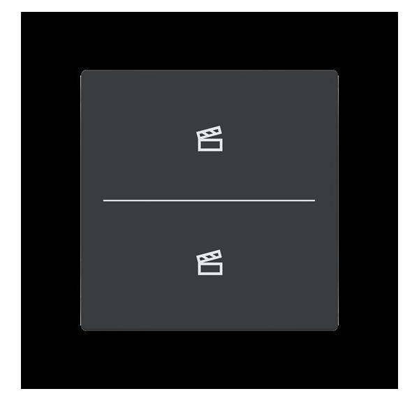 Busch-Jaeger Abdeckung als Taster LFST/A.2.63.11-81