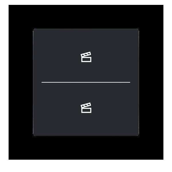 Busch-Jaeger Abdeckung als Taster LFST/A.2.63.11-885