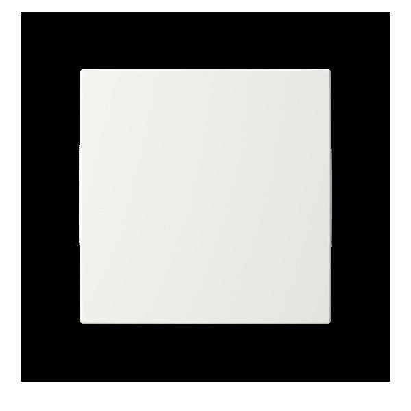 Busch-Jaeger Abdeckung, 1-fach LFW/A.1.55.11-914