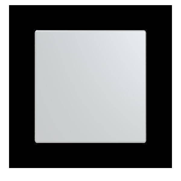 Busch-Jaeger Abdeckung, 1-fach LFW/A.1.63.11-83