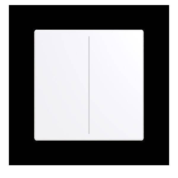 Busch-Jaeger Abdeckung, 2-fach LFW/A.2.63.11-84