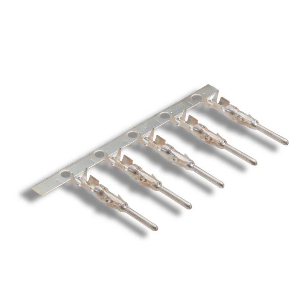 Lapp Zubehör EPIC-H-D-SCBG-AG 11226000