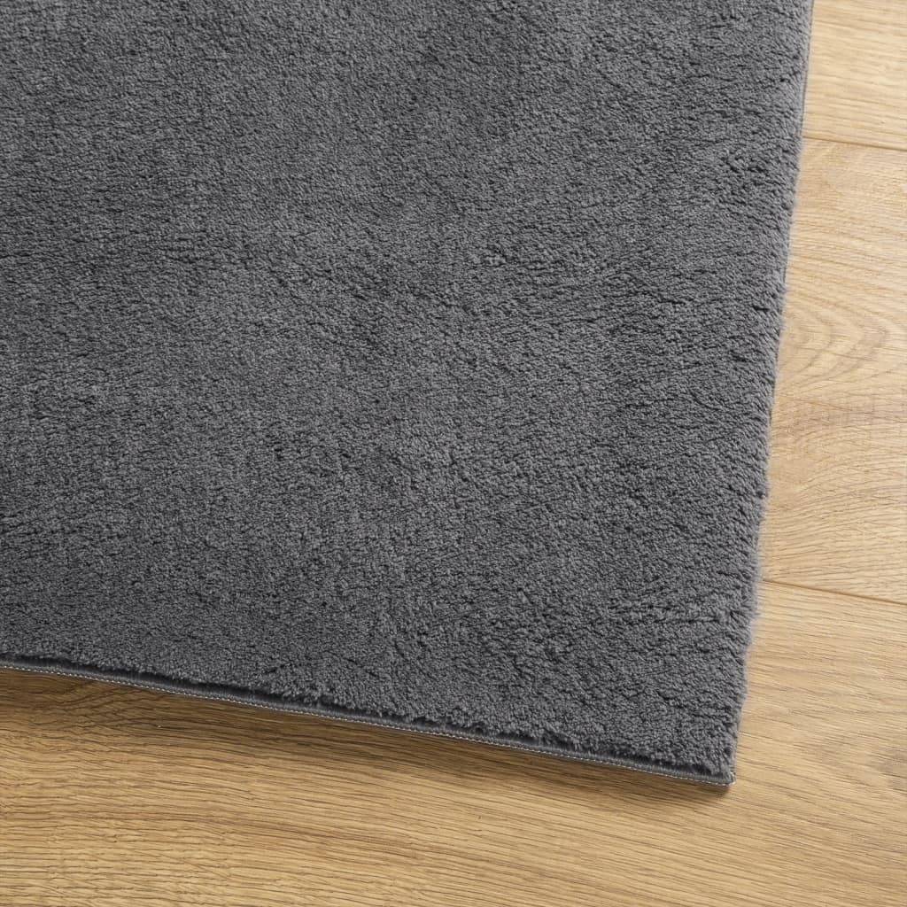 vidaXL Teppich HUARTE Kurzflor Weich und Waschbar Anthrazit 120x170 cm