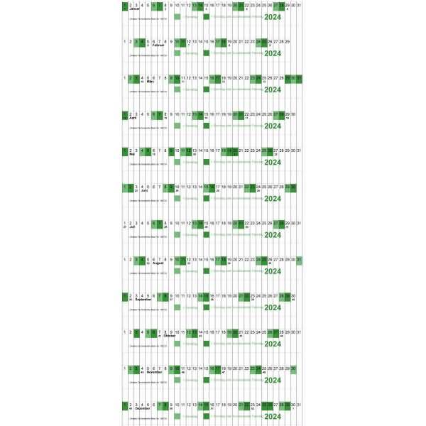 Skalenstreifen Planrecord 8mm = 1 Jahr 2024 grün
