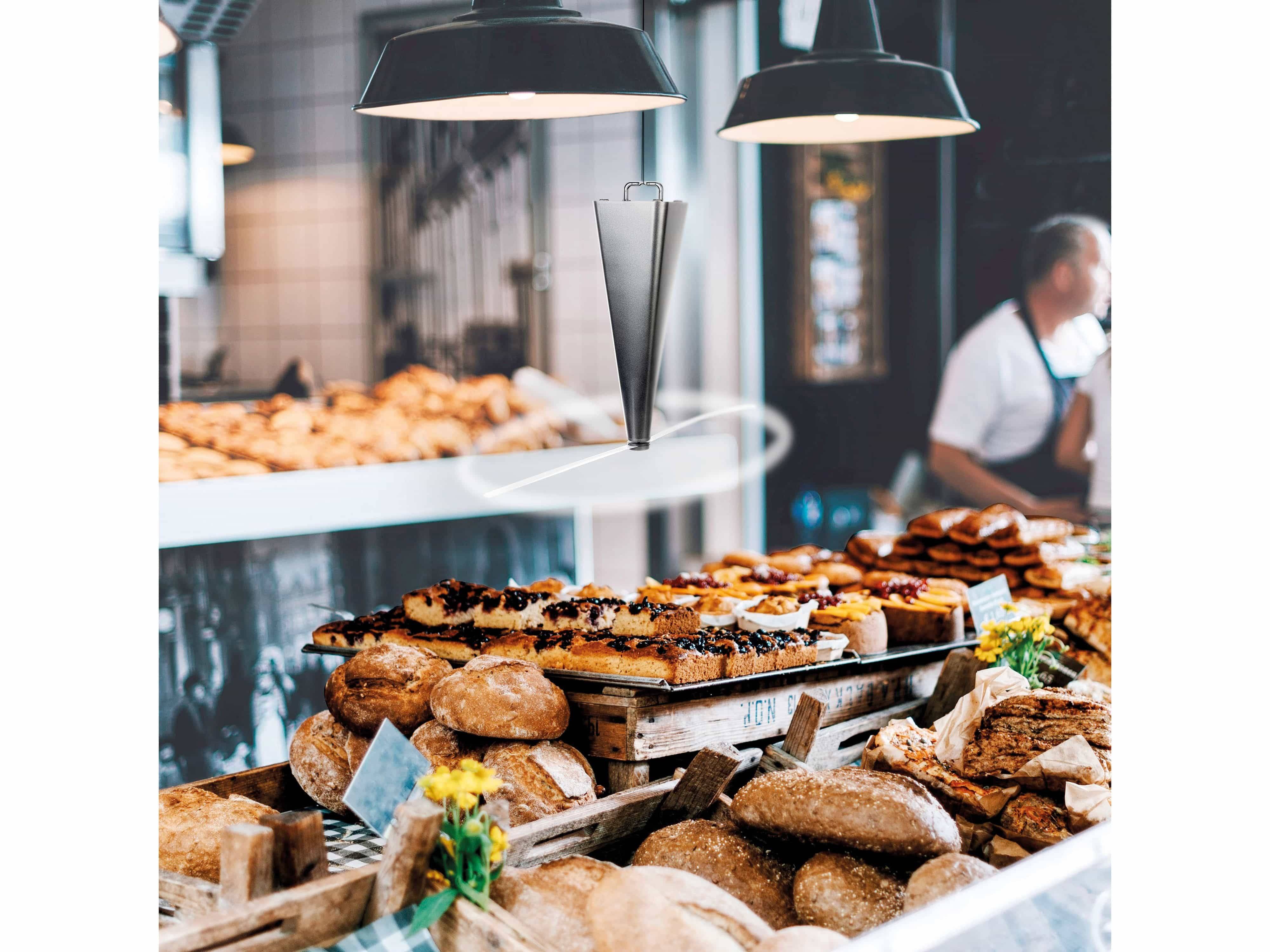 DENVER Digitalkamera DCA-4811RO Rose