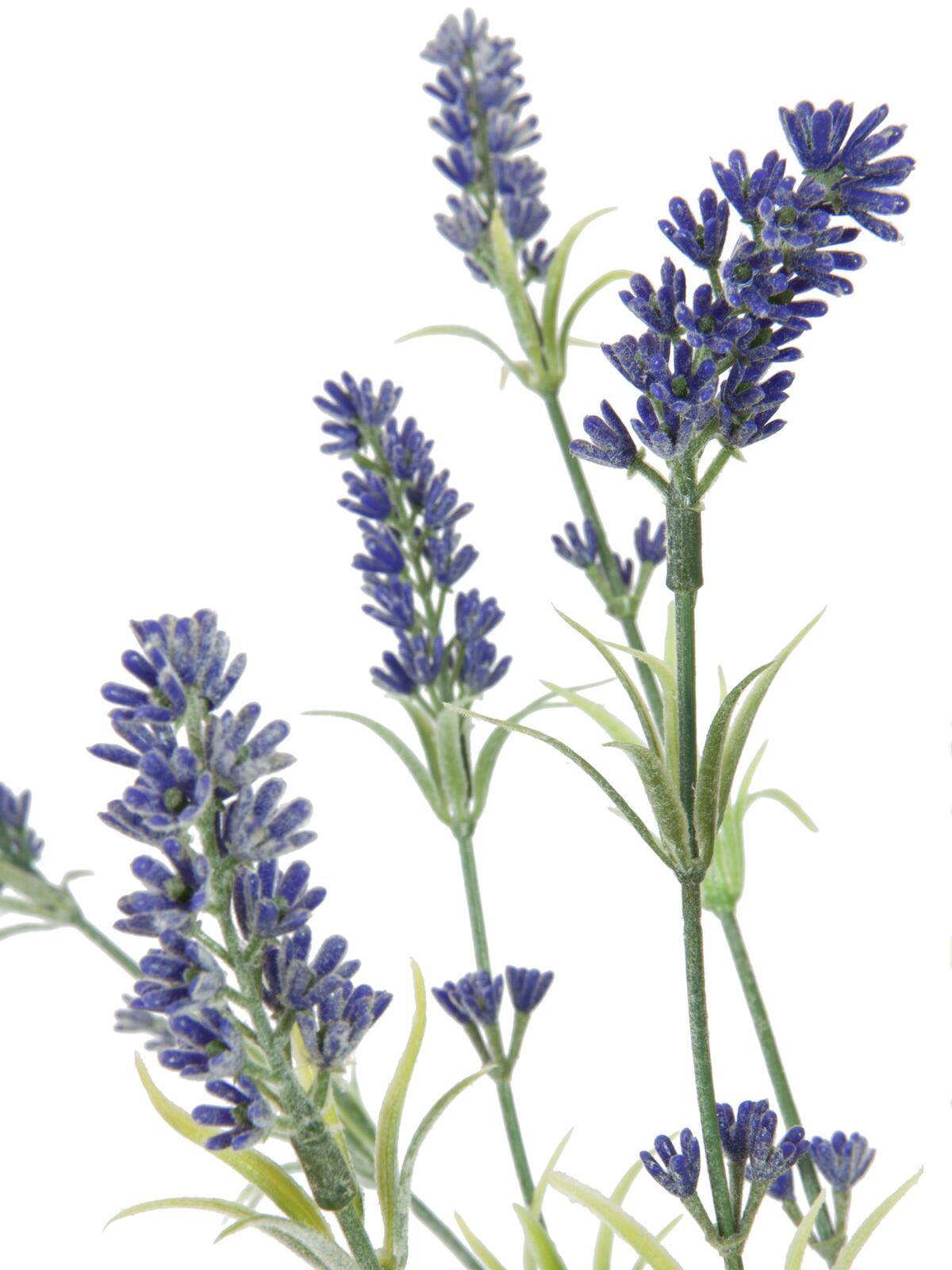 EUROPALMS Lavendelbusch, künstlich, 61cm