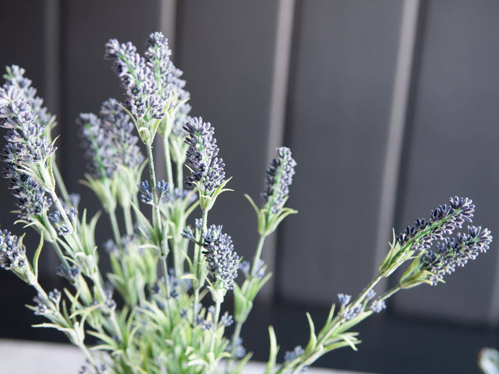 EUROPALMS Lavendelbusch, künstlich, 61cm