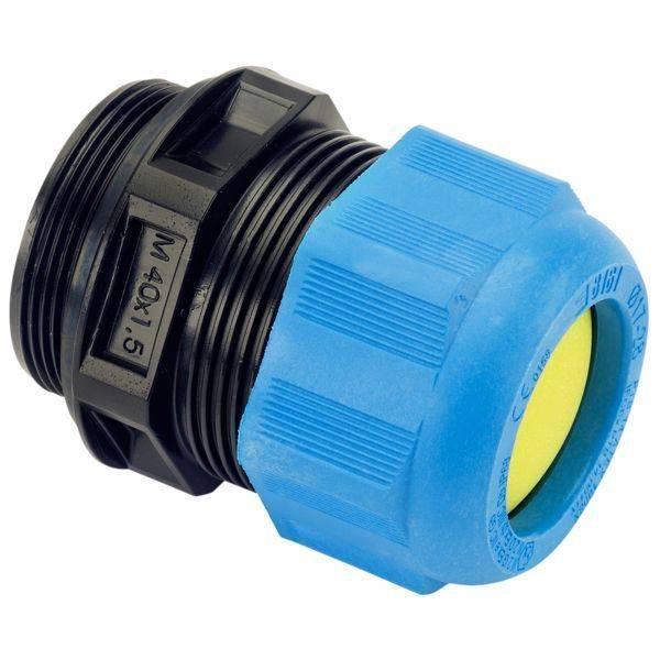 239196 8161/8-M20-1304-L KLE bl Los50