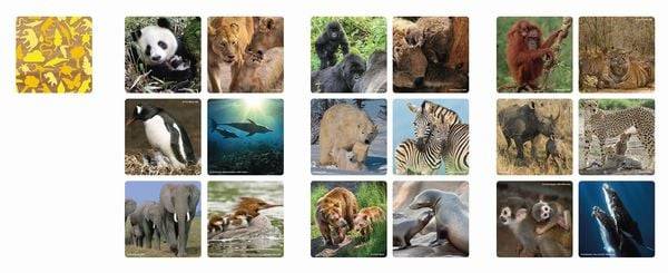 Ambassador - Memo Tierfamilien, 36 Teile