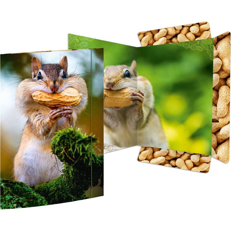 RNK Verlag Zeichnungsmappe "Chipmunk", DIN A3