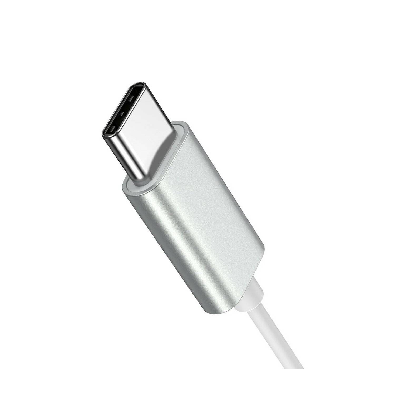 Joyroom JR-EC06 USB-C Kabelkopfhörer In-Ear-Kopfhörer – Silber 1200 mm