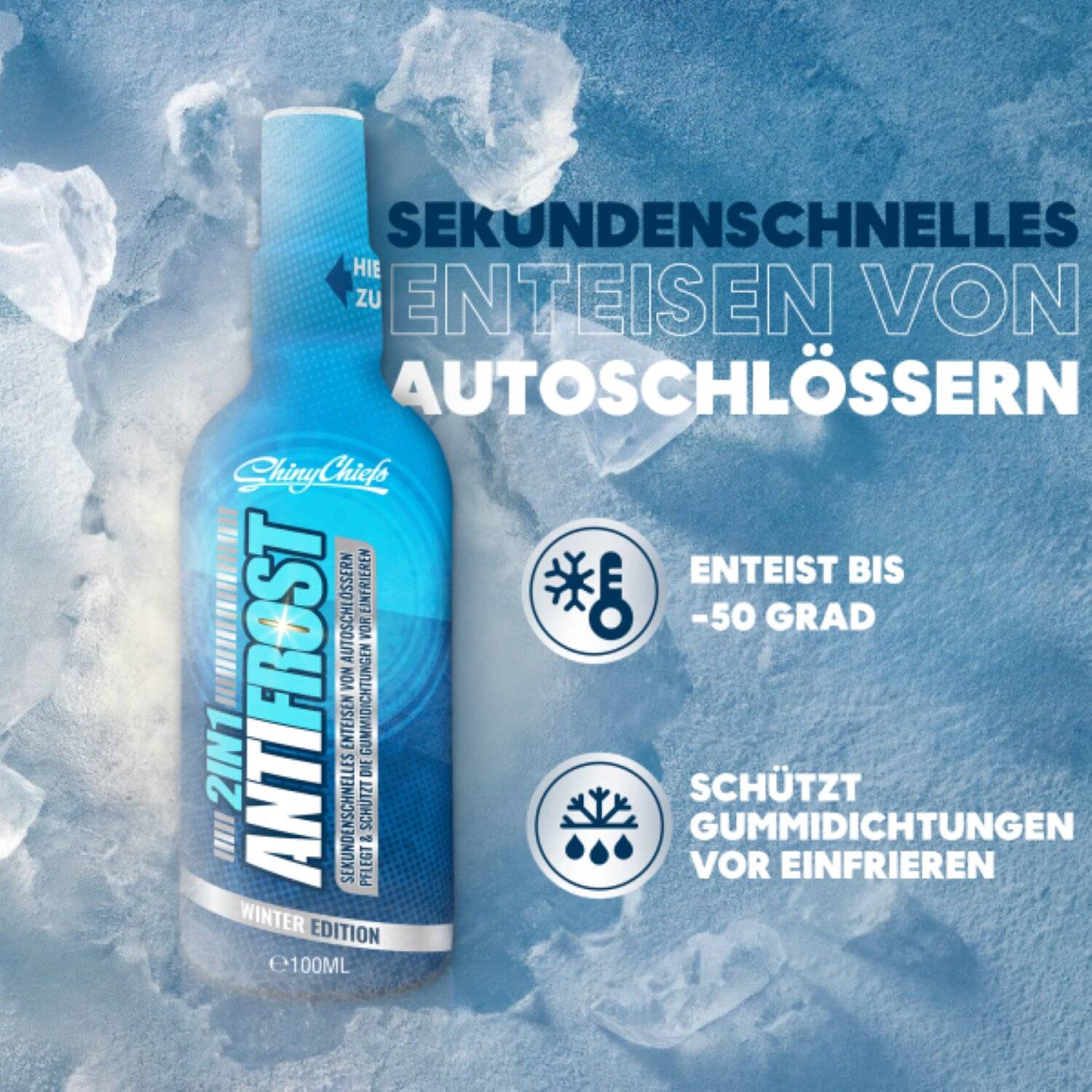 ANTIFROST - 2IN1 ENTEISER 100ML Schutz vor Eis