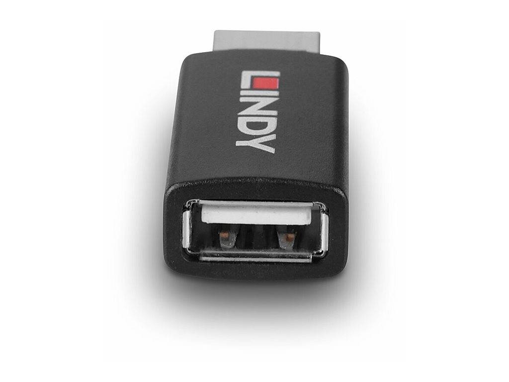 Lindy - USB-Adapter - USB (M) zu USB (W) - USB 2.0