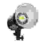 Walimex Niova - 100 W - 1 Glühbirne(n) - LED - 50000 h - Tageslicht - 1 Glühbirne(n)