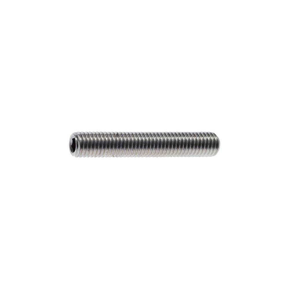 Gewindestift - Edelstahl A2 - DIN 913 / ISO 4026 - M 6x40 - Preis per Stück