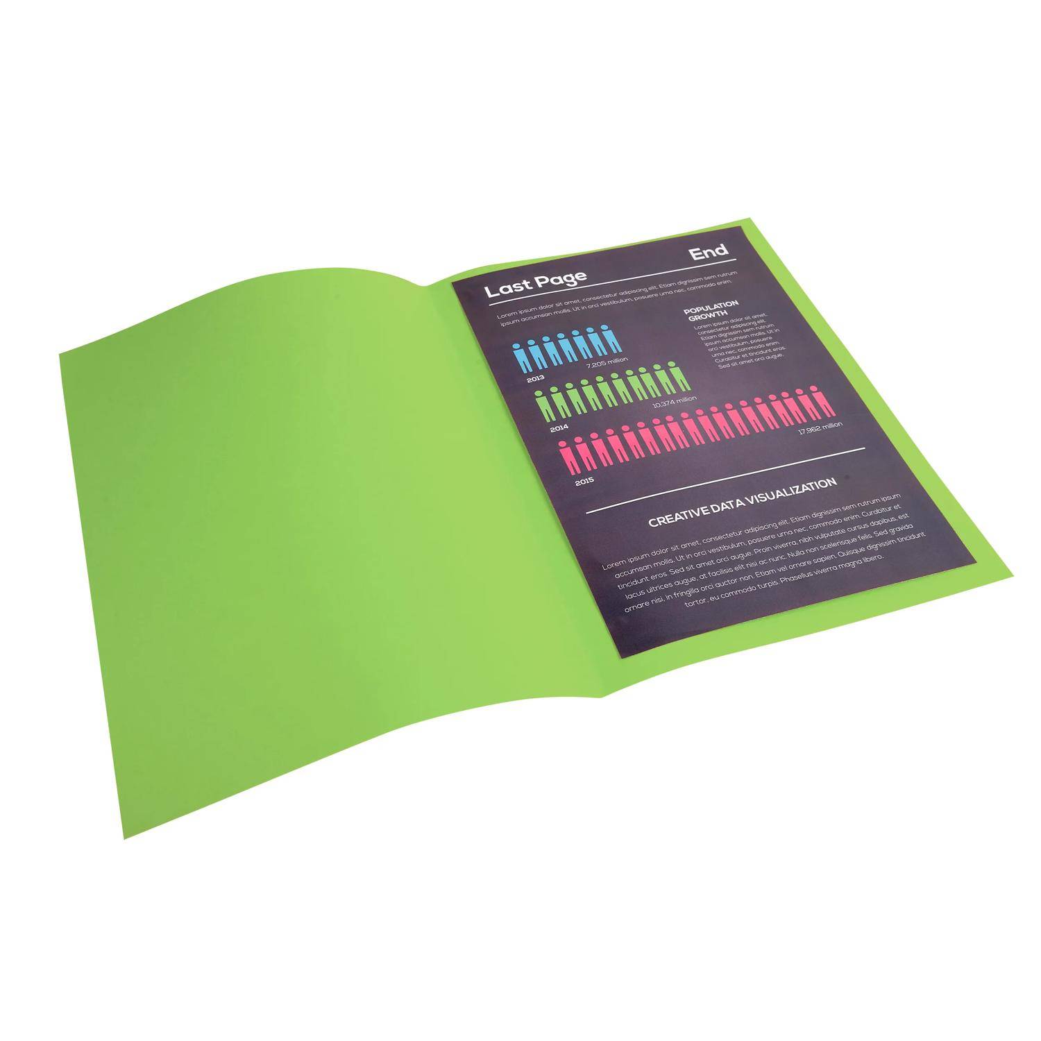 Exacompta 100er Packung Aktendeckel ROCK''S 210 24x32cm - Grün - 210013E