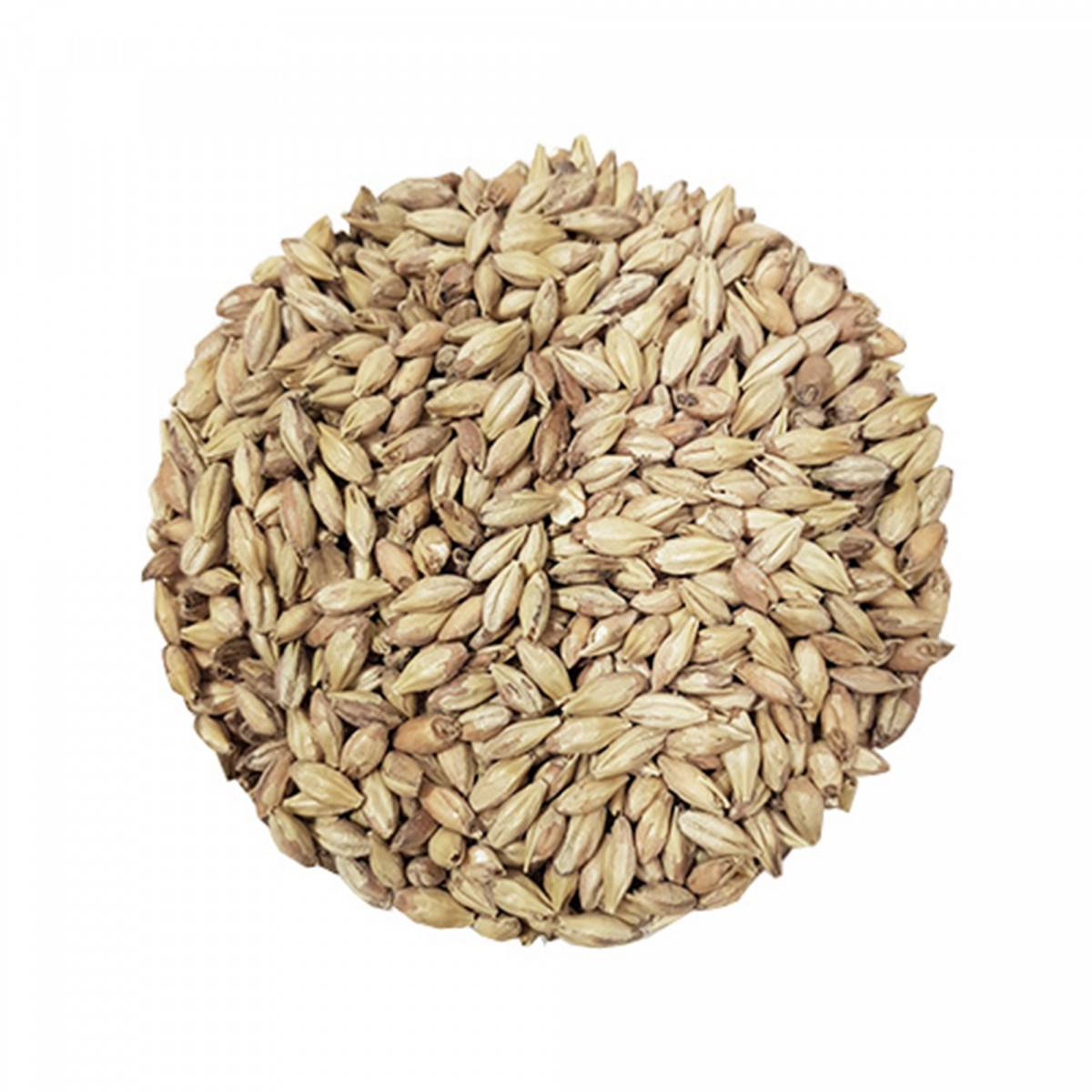 Castle Malting Abbey Malz, Biermalz - 41- 49 EBC, 1 kg
