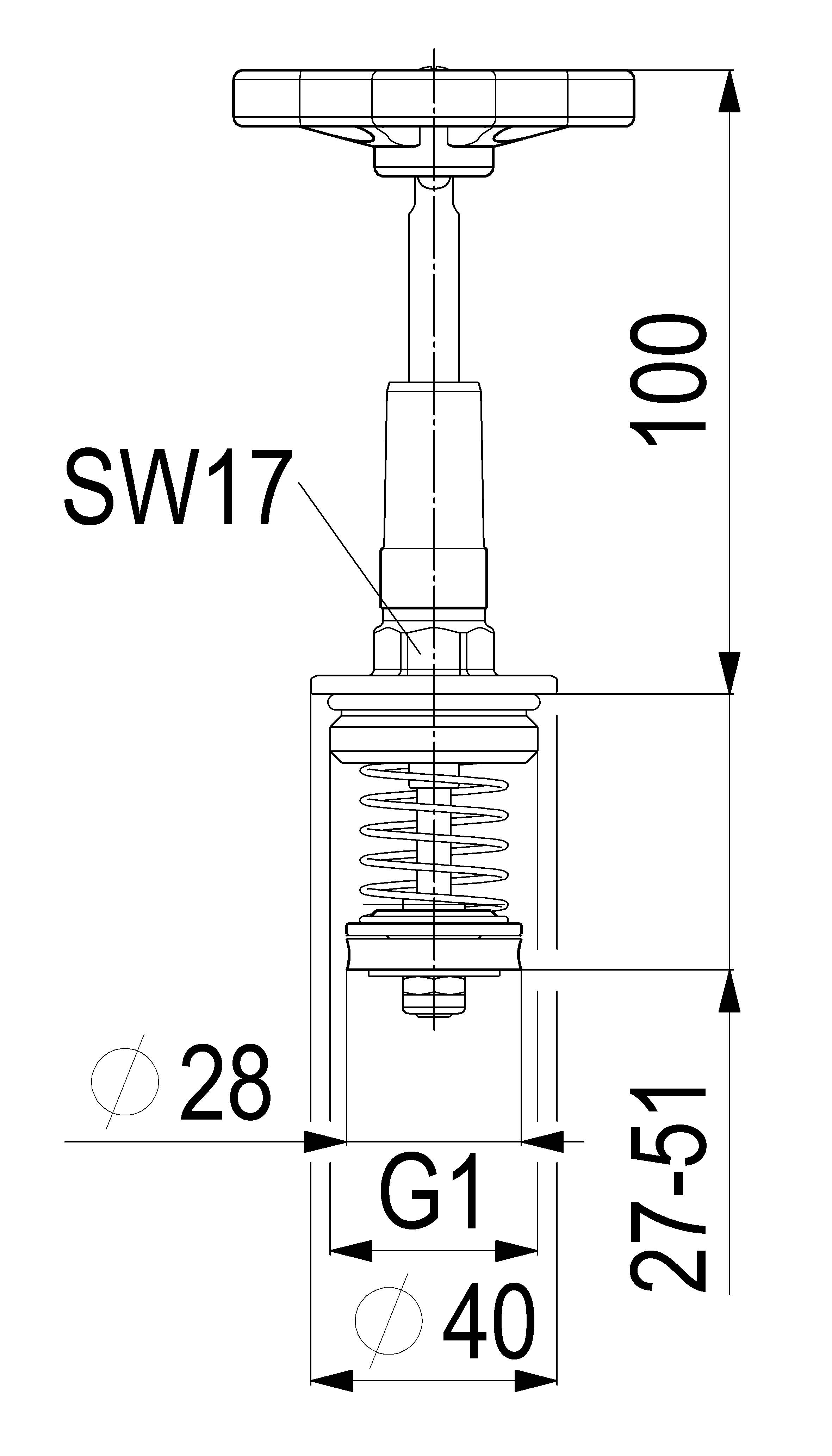 Technische Zeichnung einer Ventilbaugruppe mit Abmessungen: Höhe 100, Gehäusebreite 40, Gewinde G1, Durchmesser 28 und unterer Bereich 27–51; Schraubenschlüsselgröße SW17 angegeben.