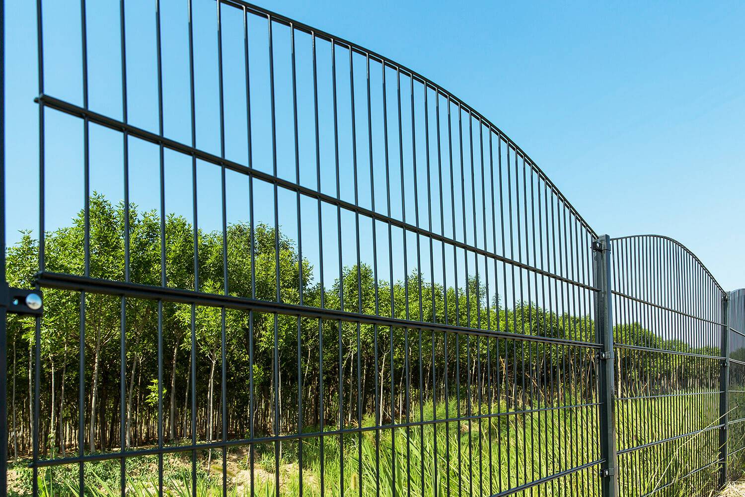 DOPPELSTABMATTENZAUN MORATA - Farbe / Höhe / Länge: Farbe: Moosgrün / Höhe: 200 cm / Länge: 50 m, Anzahl Eckpfosten: ohne Eckpfosten