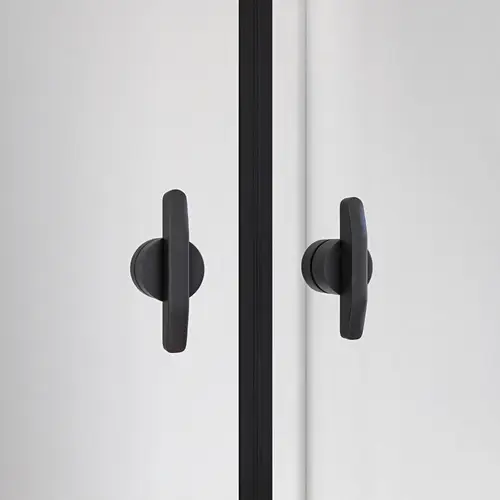 PENDELTÜR LAVEA - Farbe: Schwarz, Größe: 95 x 195 cm PENDELTÜR LAVEA - Farbe: Schwarz, Größe: 95 x 195 cm