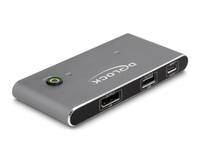 Delock 11487 - 2-Port KVM Switch DisplayPort - KVM-Umschalter - 2-Port - Grau