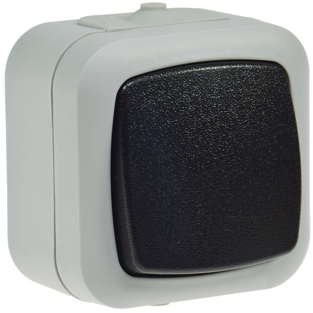 ChiliTec 20467 Feuchtraum Wechsel-Schalter, IP44 250V~/ 10A, inkl. AP-Rahmen, grau