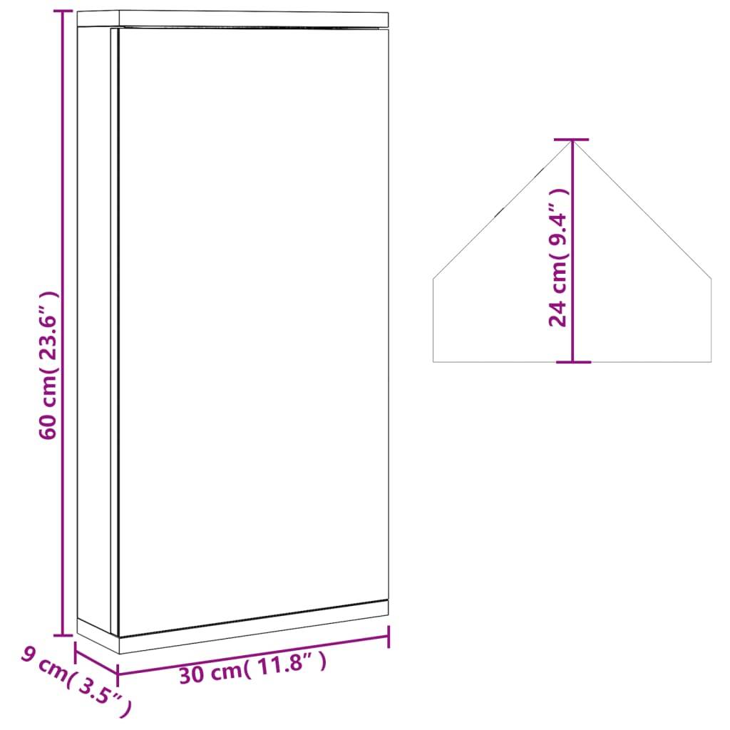 vidaXL Eck-Spiegelschrank Schwarz 30x24x60 cm