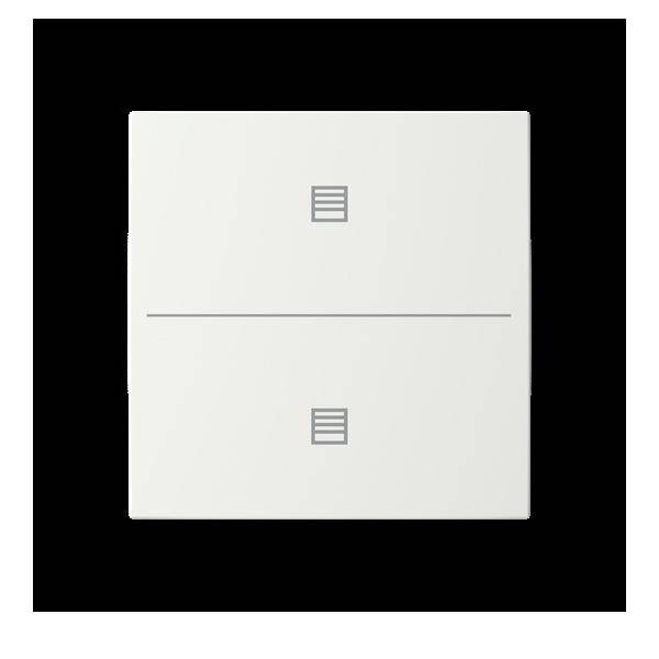 Busch-Jaeger Abdeckung als Taster LFJT/A.2.55.11-914