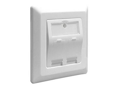 DELOCK Keystone Anschlussdose 2-Port Multimedia-Technik
