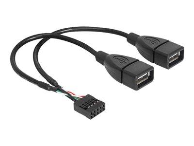 DELOCK USB Kabel Pinheader 10Pin -> 2x A Bu/Bu 0.20m Multimedia-Technik USB-Kabel