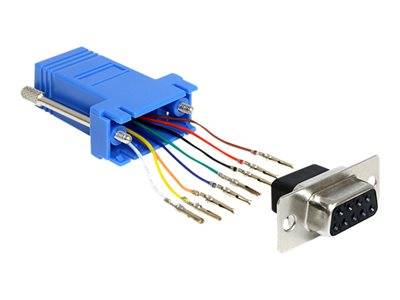 DELOCK Adapter D-Sub9 -> RJ45 Bu/Bu Montagesatz Multimedia-Technik