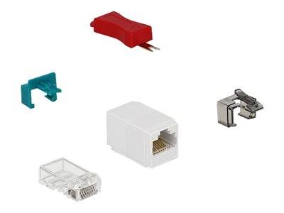 DELOCK RJ45 Secure Clip Starter Set 20Stück Multimedia-Technik Adapter