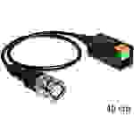 DELOCK Adapter Terminalblock 2Pin -> BNC Stecker Kabel 0.40m Multimedia-Technik