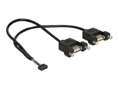 DELOCK USB Kabel Pinheader 10Pin -> 2x A Bu/Bu 0.25m Multimedia-Technik USB-Kabel