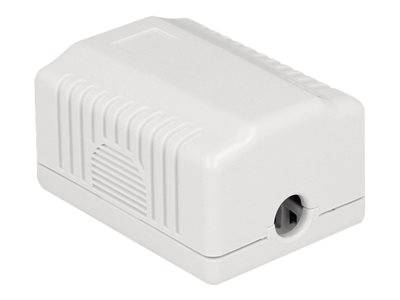DELOCK Anschlussdose 1Port Cat.6A LSA Multimedia-Technik Netzwerkzubehör