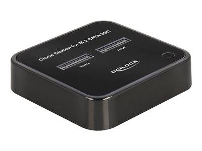 DELOCK M.2 Dockingstation für 2xM.2 SATA SSD mit Klon Multimedia-Technik