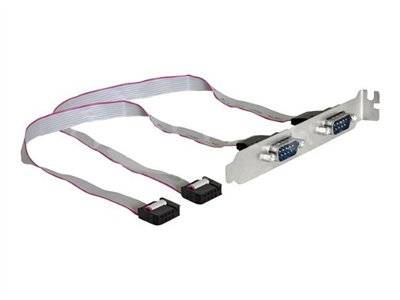 DELOCK Slotblech 2x D-Sub9 Multimedia-Technik Slotbleche
