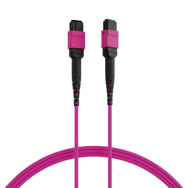 MTP®(F)-MTP®(F) Patchkabel OM4 12 Fasern -- Typ B LSZH erika-violett 1m Glasfaserverkabelung MPO /