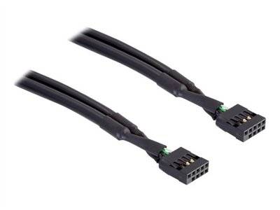DELOCK USB Kabel Pinheader 10Pin -> Bu/Bu 0.50m Multimedia-Technik USB-Kabel