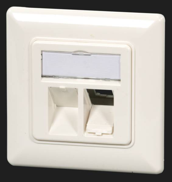 Eine weiße wandmontierte Netzwerkdose mit zwei Ethernet-Anschlüssen, die zum Anschluss von Netzwerkkabeln in einer Büro- oder Heimumgebung konzipiert ist.