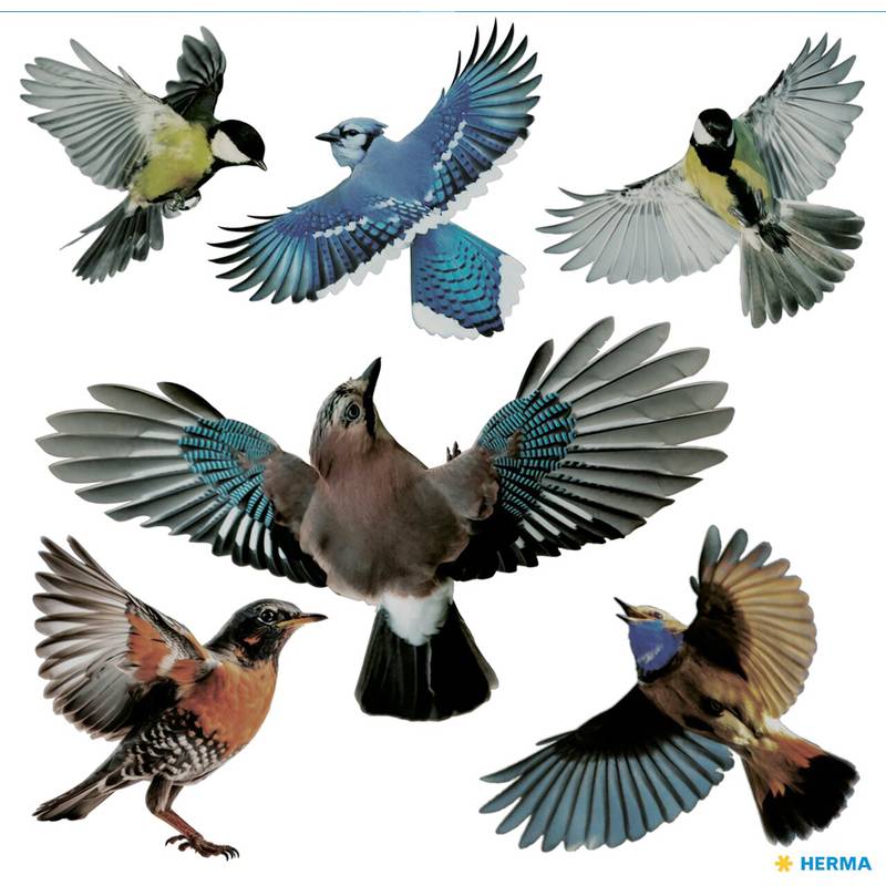 HERMA Hinweisetikette "Warnvögel", bunt