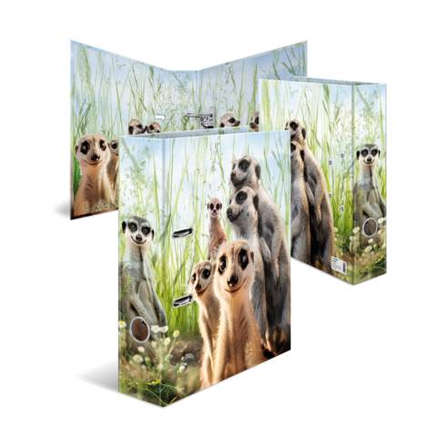 Motiv-Ordner A4 Erdmännchen