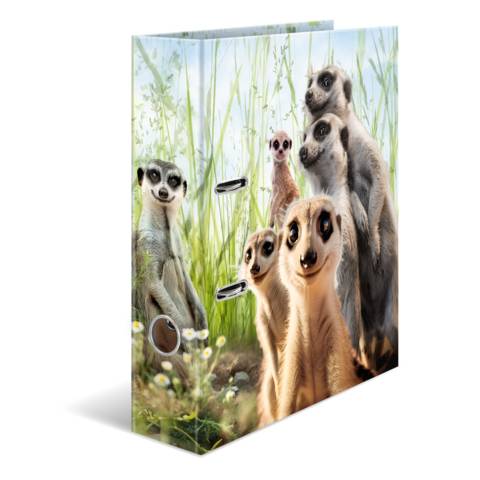 Motiv-Ordner A4 Erdmännchen