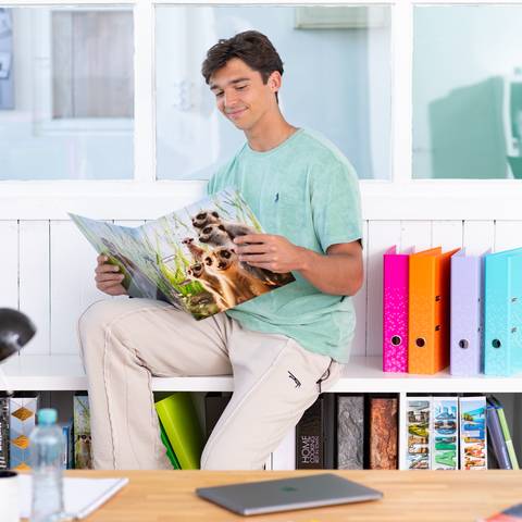 Motiv-Ordner A4 Erdmännchen