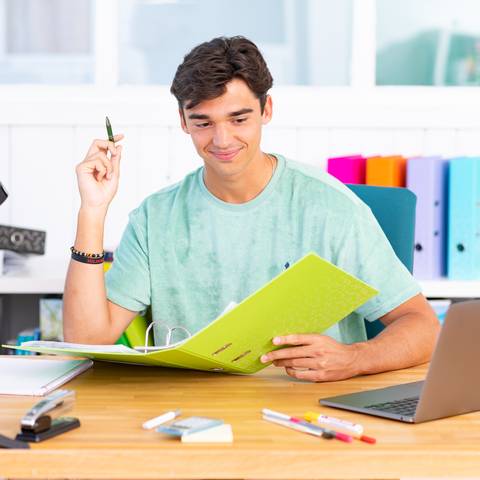 Ordner A4 Color grün