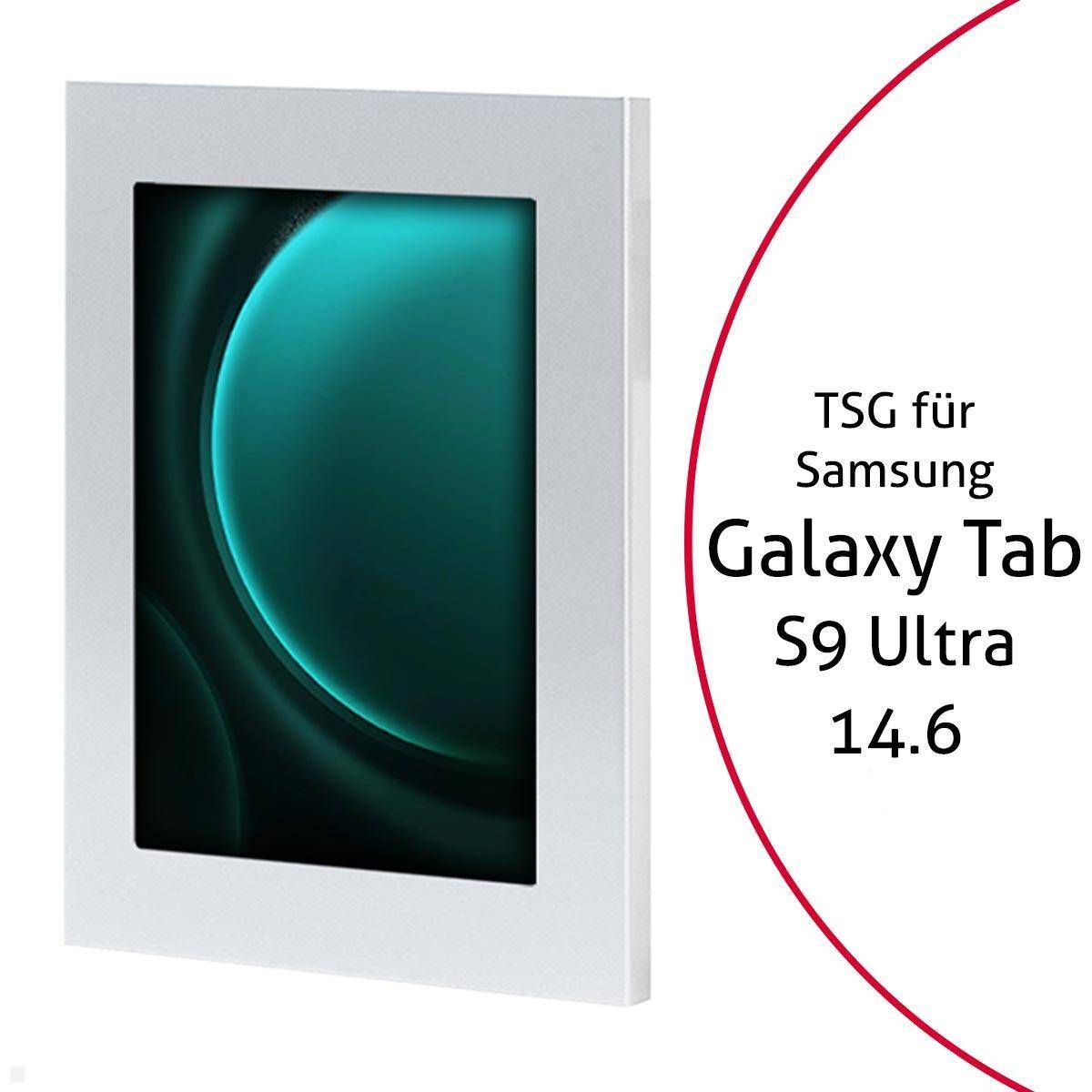 TabLines TSG095S Tablet Schutzgehäuse für Samsung Tab S9 Ultra 14.6, silber