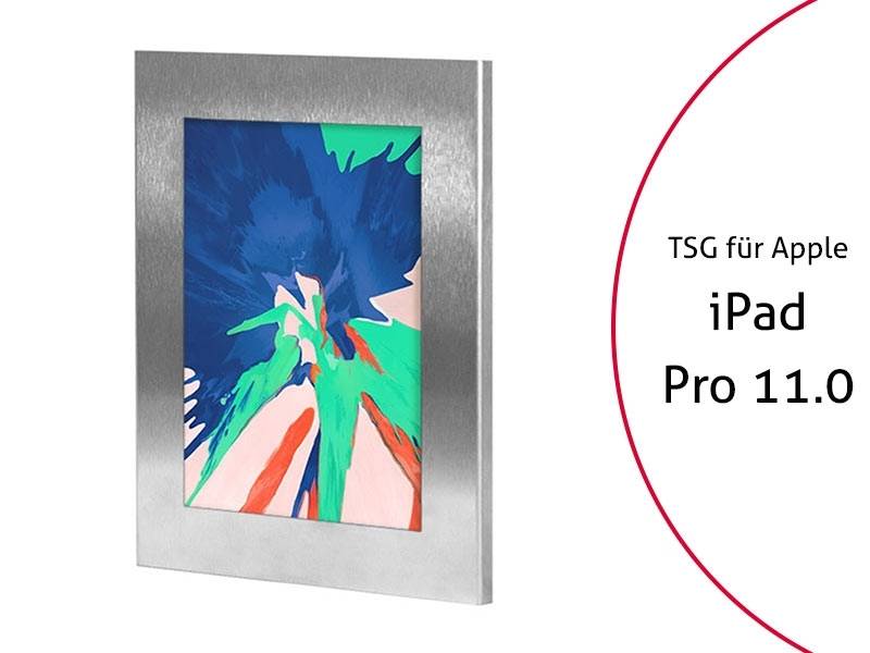 TabLines TSG058E Tablet Schutzgehäuse für Apple iPad Pro 11, Edelstahl