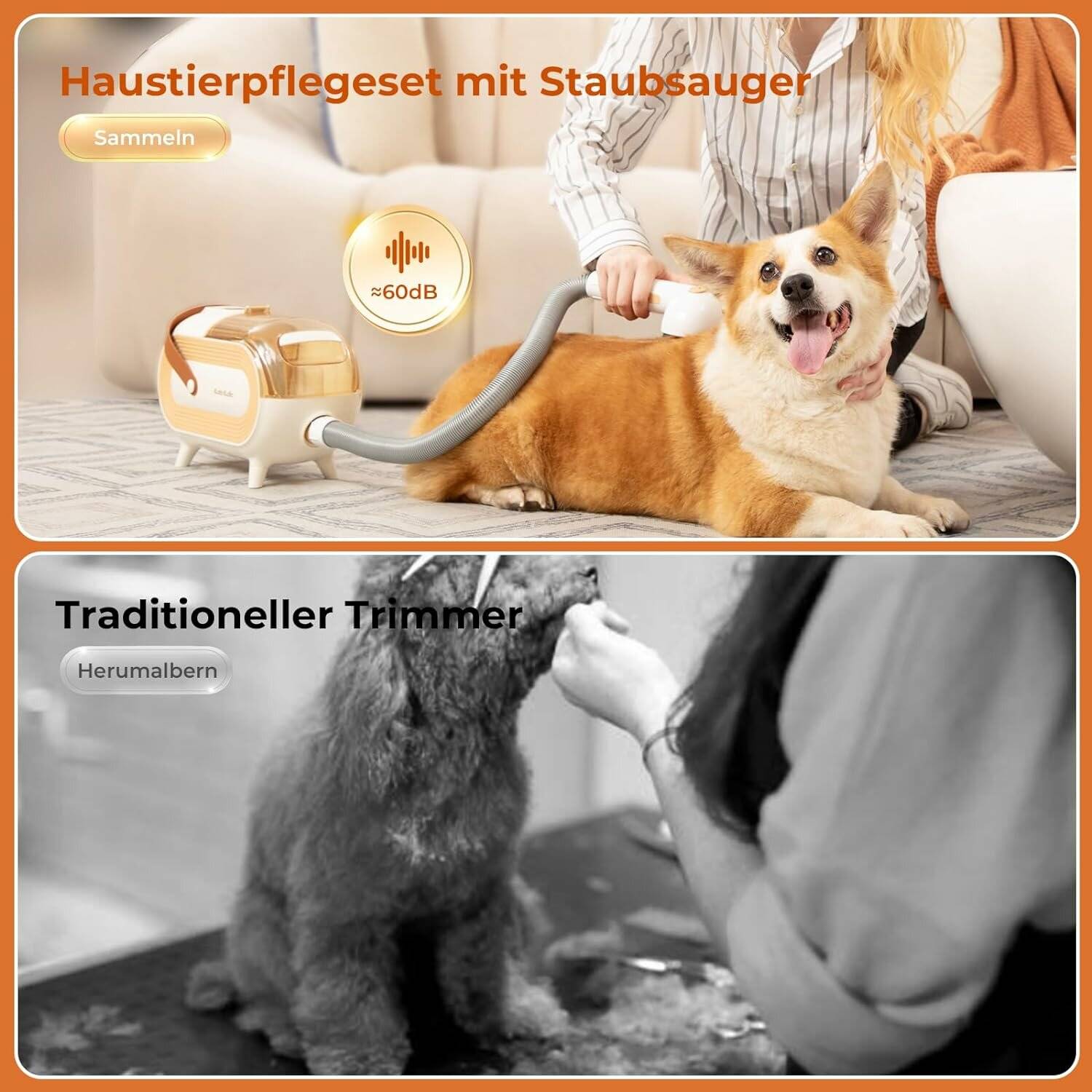 Katio Kadio Hundeschermaschine mit Tierhaar Staubsauger, Profi Haustierpflegeset mit 8 Tierpflegewerkzeugen Gelb