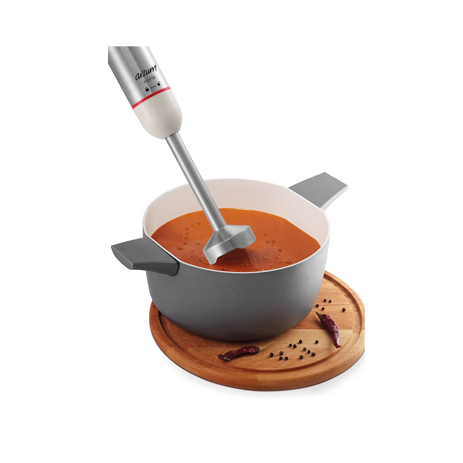 Arzum 1000W Multi Blender Set Stabmixer Pürierstab Handmixer Zerkleinern Schwarz