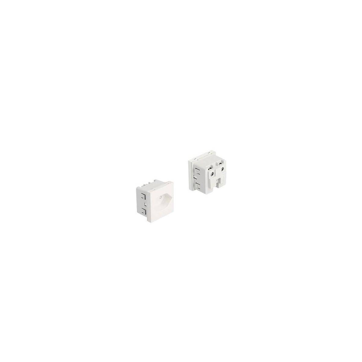 Delock Easy 45 - Steckdose - grounded, 45 x 45 mm - 2P - Typ 13 - mit Verschluss